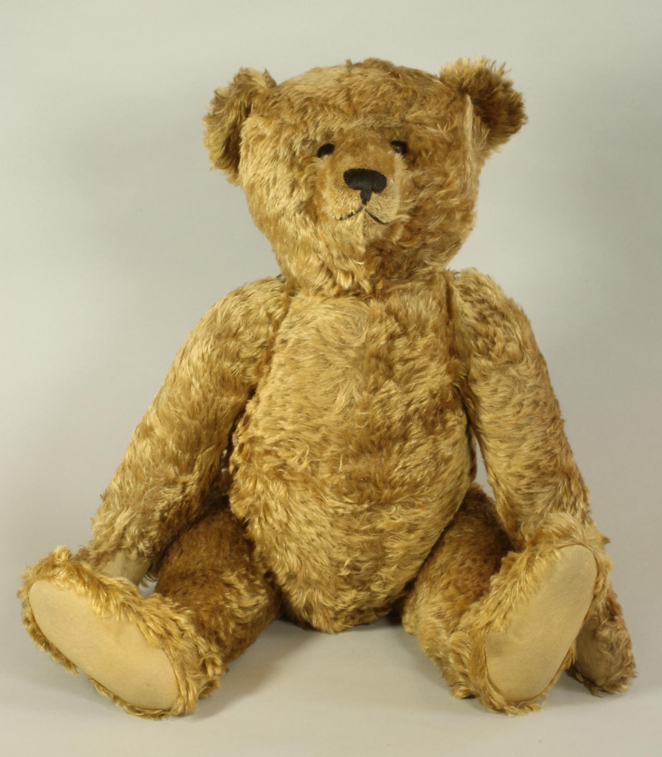 Autumn Toy Sale Report Module