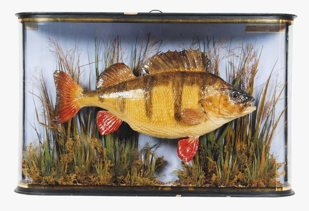 Hartleys Spring Sale Results Module