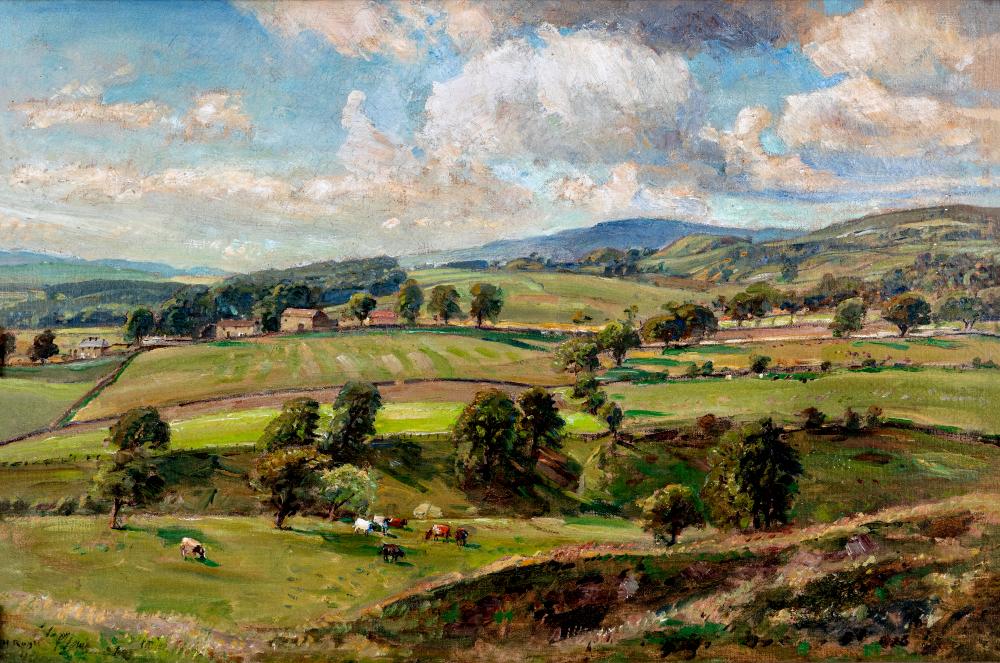 Leafing through our autumn sale Module